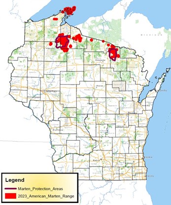 Snapshot Wisconsin August 2024 | New Data and Species on the Dashboard